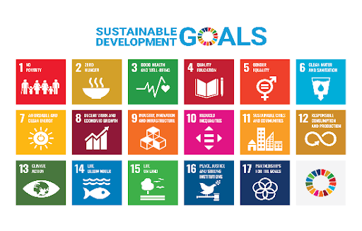 Speak about the Sustainable Development Goals 2030