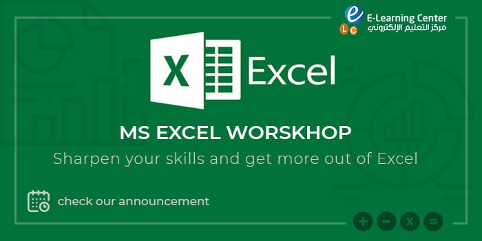 Microsoft Excel Program